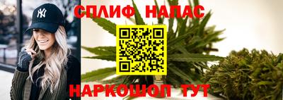 гидра Бузулук