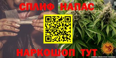 2c-b Пугачёв