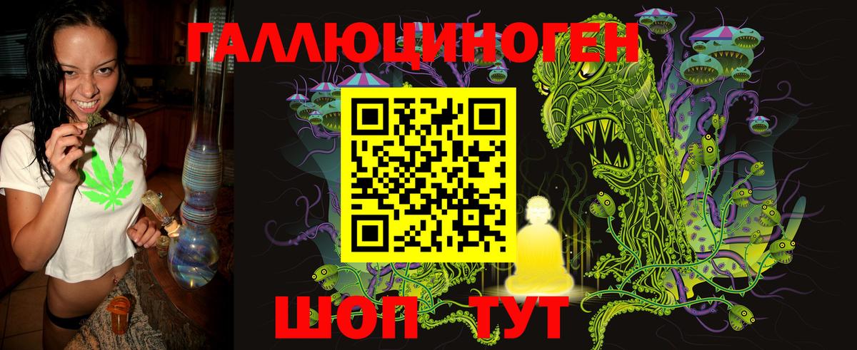 Галлюциногенные грибы GOLDEN TEACHER  Вход с VPN  где купить наркоту  Королёв 